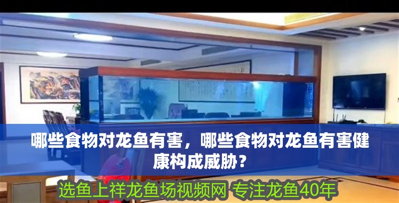 哪些食物對(duì)龍魚有害，哪些食物對(duì)龍魚有害健康構(gòu)成威脅？