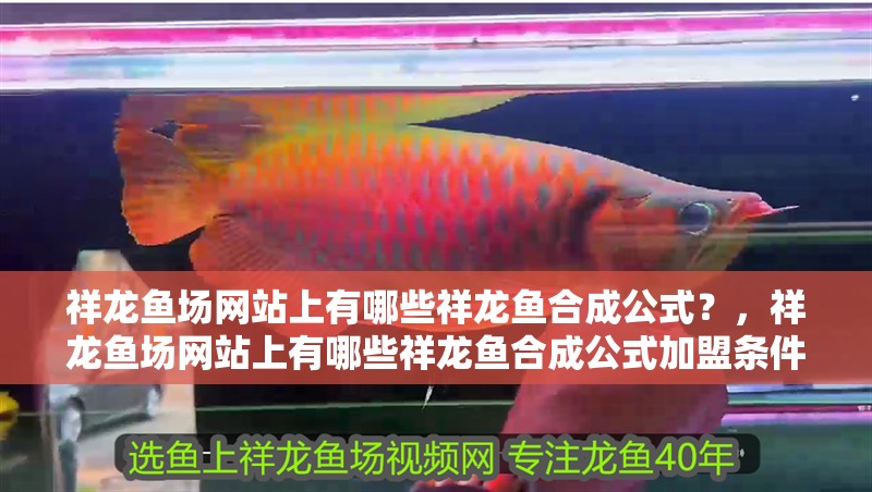 祥龍魚場網站上有哪些祥龍魚合成公式？，祥龍魚場網站上有哪些祥龍魚合成公式加盟條件 祥龍魚場網站上有哪些祥龍魚合成公式？，祥龍魚場網站上有哪些祥龍魚合成公式加盟條件 龍魚百科