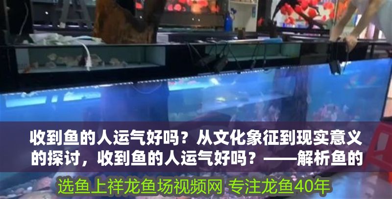 收到魚的人運氣好嗎？從文化象征到現實意義的探討，收到魚的人運氣好嗎？——解析魚的文化象征與現實寓意 收到魚的人運氣好嗎？從文化象征到現實意義的探討，收到魚的人運氣好嗎？——解析魚的文化象征與現實寓意 龍魚百科 第1張