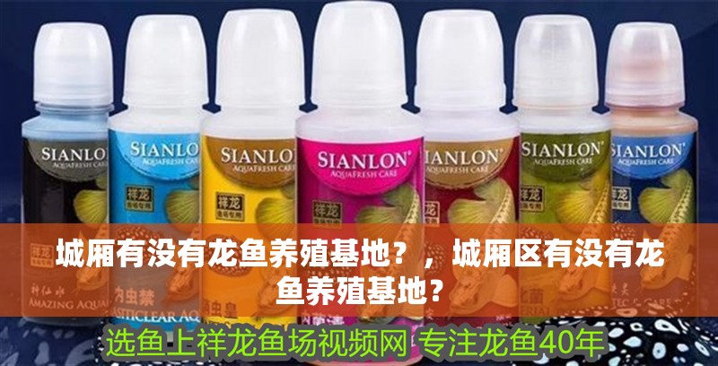 城廂有沒有龍魚養殖基地？，城廂區有沒有龍魚養殖基地？