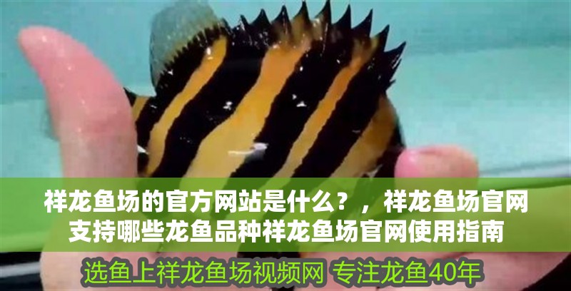 祥龍魚場的官方網站是什么？，祥龍魚場官網支持哪些龍魚品種祥龍魚場官網使用指南