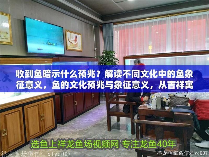收到魚暗示什么預兆？解讀不同文化中的魚象征意義，魚的文化預兆與象征意義，從吉祥寓意到精神啟示