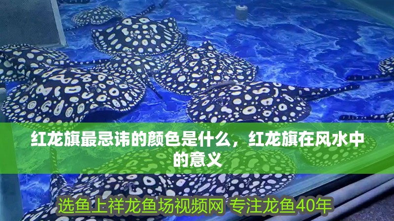 紅龍旗最忌諱的顏色是什么，紅龍旗在風(fēng)水中的意義