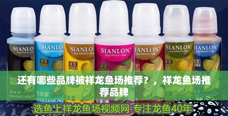 還有哪些品牌被祥龍魚場推薦？，祥龍魚場推薦品牌