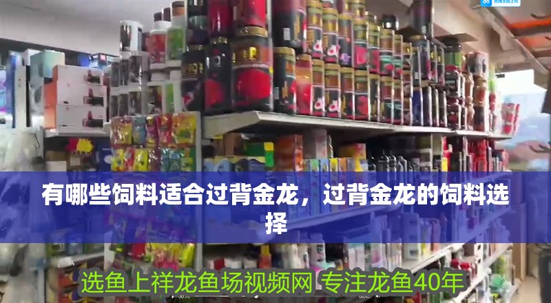 有哪些飼料適合過背金龍，過背金龍的飼料選擇 有哪些飼料適合過背金龍，過背金龍的飼料選擇 龍魚百科