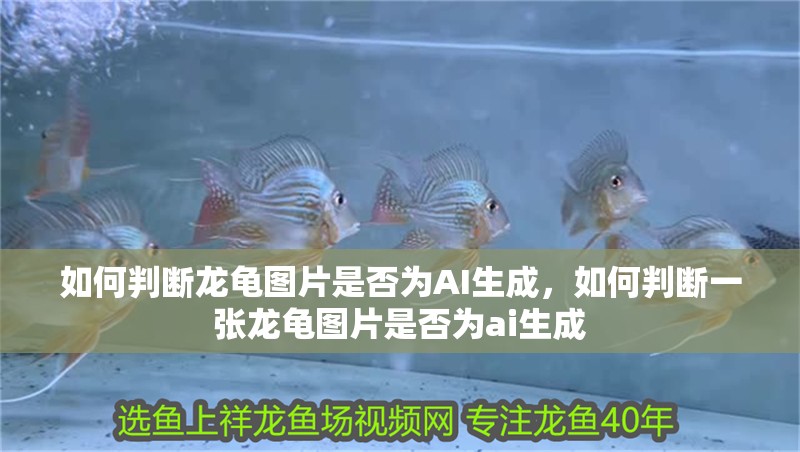 詳細閱讀:如何判斷龍龜圖片是否為AI生成,如何判斷一張龍龜圖片是否為ai生成 如何判斷龍龜圖片是否為AI生成,如何判斷一張龍龜圖片是否為ai生成