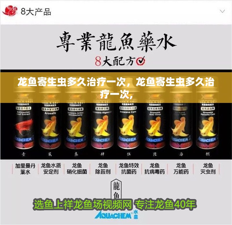 龍魚寄生蟲多久治療一次，龍魚寄生蟲多久治療一次,