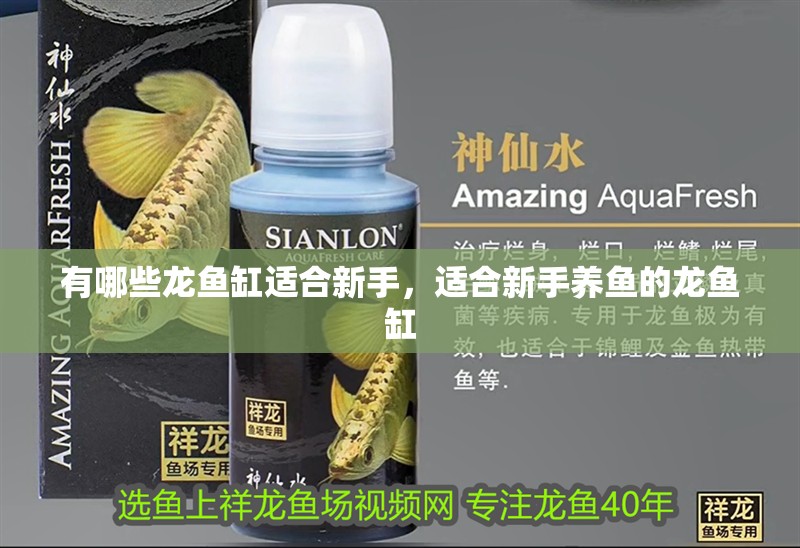 有哪些龍魚缸適合新手，適合新手養(yǎng)魚的龍魚缸
