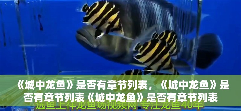 詳細閱讀:《城中龍魚》是否有章節列表,《城中龍魚》是否有章節列表《城中龍魚》是否有章節列表 《城中龍魚》是否有章節列表,《城中龍魚》是否有章節列表《城中龍魚》是否有章節列表