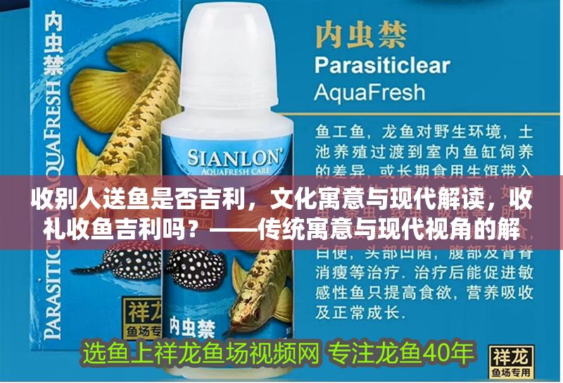 收別人送魚是否吉利，文化寓意與現代解讀，收禮收魚吉利嗎？——傳統寓意與現代視角的解析