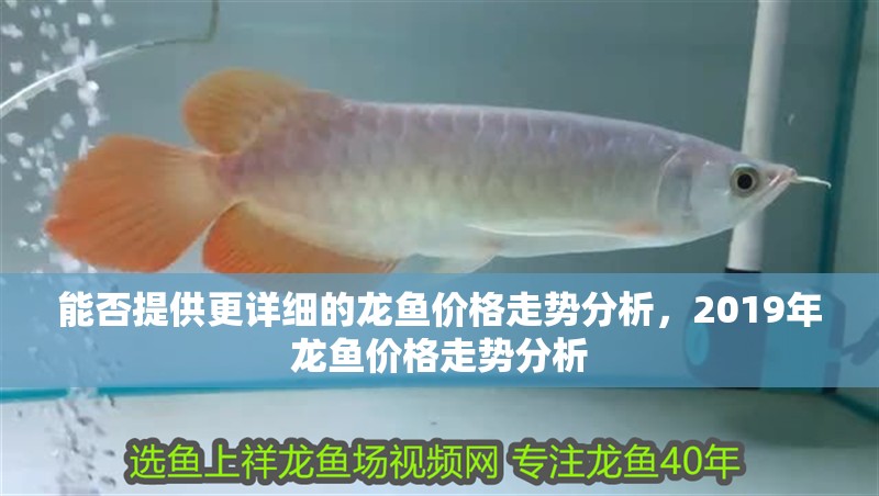 詳細閱讀:能否提供更詳細的龍魚價格走勢分析,2019年龍魚價格走勢分析 能否提供更詳細的龍魚價格走勢分析,2019年龍魚價格走勢分析