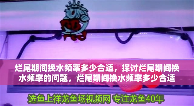 詳細閱讀:爛尾期間換水頻率多少合適,探討爛尾期間換水頻率的問題,爛尾期間換水頻率多少合適 爛尾期間換水頻率多少合適,探討爛尾期間換水頻率的問題,爛尾期間換水頻率多少合適