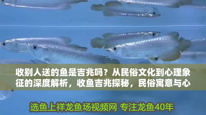 收別人送的魚是吉兆嗎？從民俗文化到心理象征的深度解析，收魚吉兆探秘，民俗寓意與心理象征全解讀