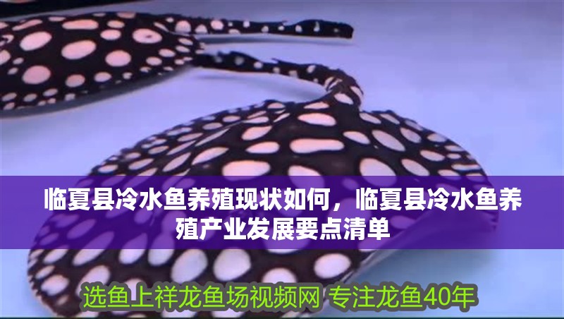 臨夏縣冷水魚養(yǎng)殖現(xiàn)狀如何，臨夏縣冷水魚養(yǎng)殖產(chǎn)業(yè)發(fā)展要點清單