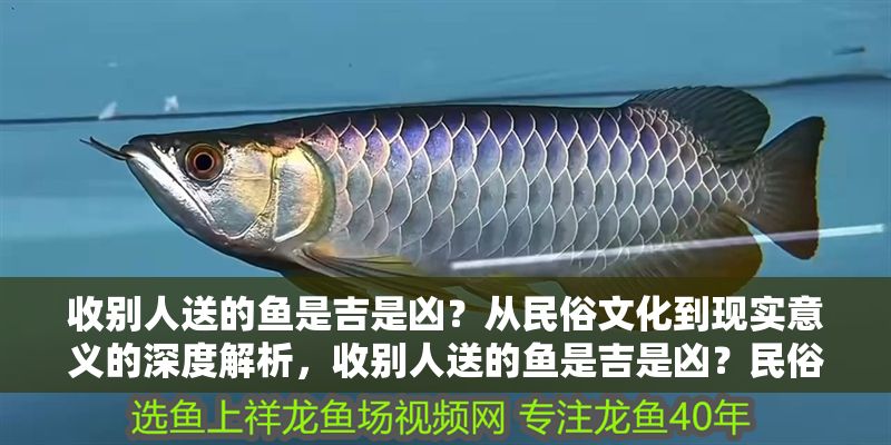 收別人送的魚是吉是兇？從民俗文化到現(xiàn)實意義的深度解析，收別人送的魚是吉是兇？民俗寓意與現(xiàn)實影響的全面解讀