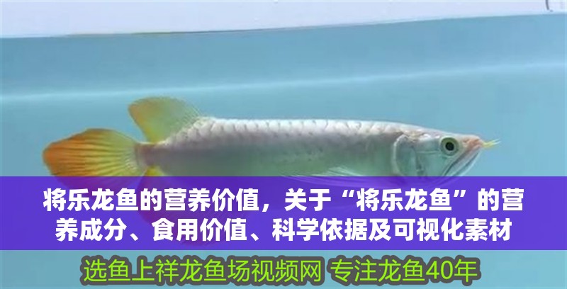 詳細閱讀:將樂龍魚的營養價值,關于“將樂龍魚”的營養成分、食用價值、科學依據及可視化素材 將樂龍魚的營養價值,關于“將樂龍魚”的營養成分、食用價值、科學依據及可視化素材