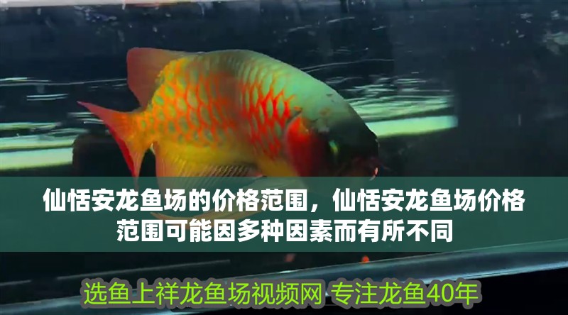 仙恬安龍魚場的價(jià)格范圍，仙恬安龍魚場價(jià)格范圍可能因多種因素而有所不同