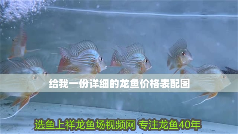 給我一份詳細的龍魚價格表配圖