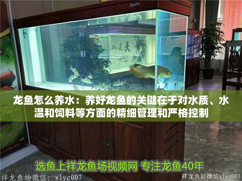 龍魚怎么養水：養好龍魚的關鍵在于對水質、水溫和飼料等方面的精細管理和嚴格控制