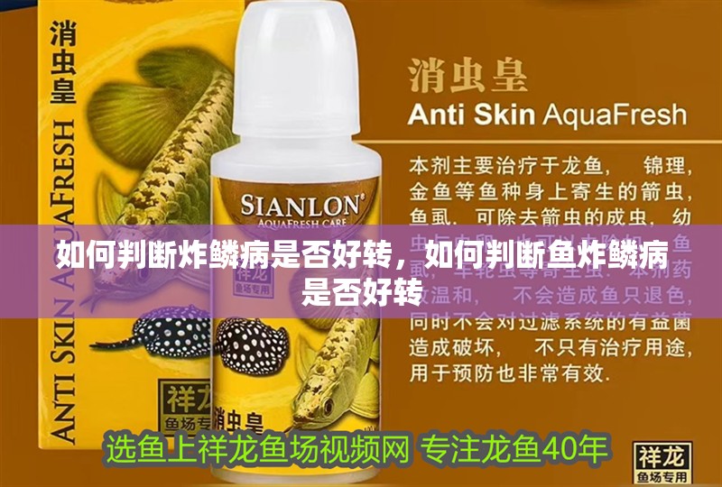 如何判斷炸鱗病是否好轉，如何判斷魚炸鱗病是否好轉