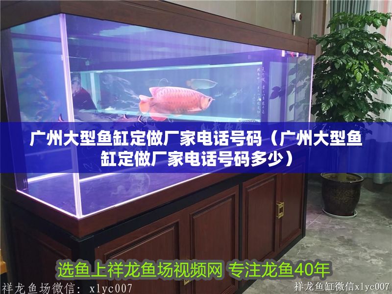 廣州大型魚缸定做廠家電話號碼（廣州大型魚缸定做廠家電話號碼多少）