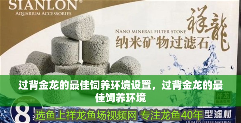 詳細閱讀:過背金龍的最佳飼養環境設置,過背金龍的最佳飼養環境 過背金龍的最佳飼養環境設置,過背金龍的最佳飼養環境