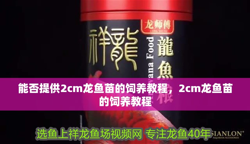 能否提供2cm龍魚苗的飼養(yǎng)教程，2cm龍魚苗的飼養(yǎng)教程