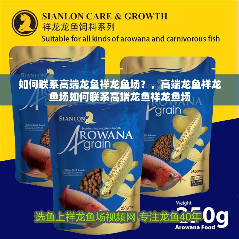 如何聯系高端龍魚祥龍魚場？，高端龍魚祥龍魚場如何聯系高端龍魚祥龍魚場