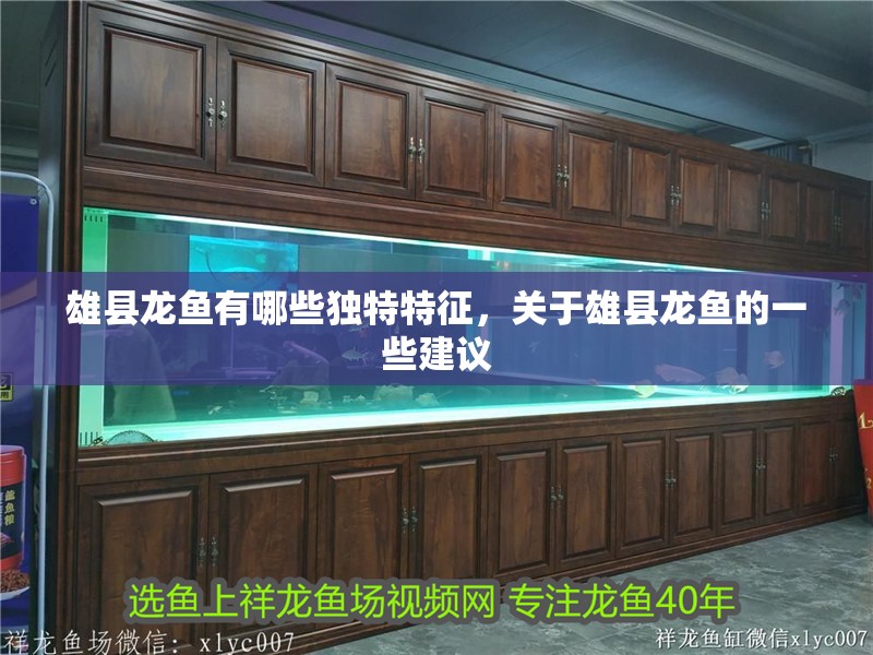 雄縣龍魚有哪些獨特特征，關(guān)于雄縣龍魚的一些建議