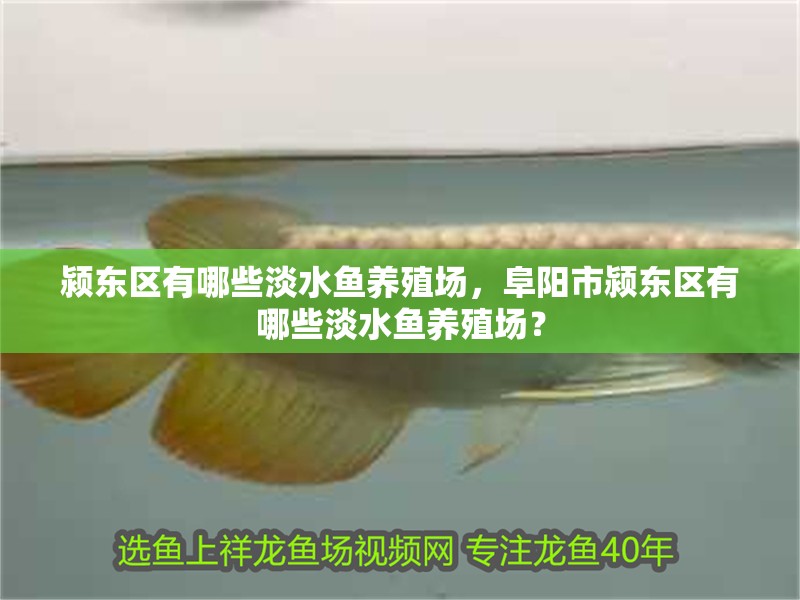 潁東區有哪些淡水魚養殖場，阜陽市潁東區有哪些淡水魚養殖場？