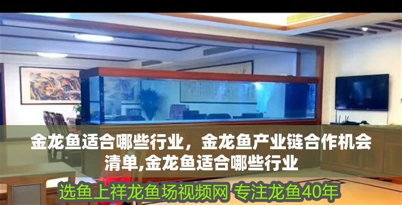 金龍魚適合哪些行業(yè)，金龍魚產(chǎn)業(yè)鏈<strong><mark>合作</mark></strong>機(jī)會清單,金龍魚適合哪些行業(yè)