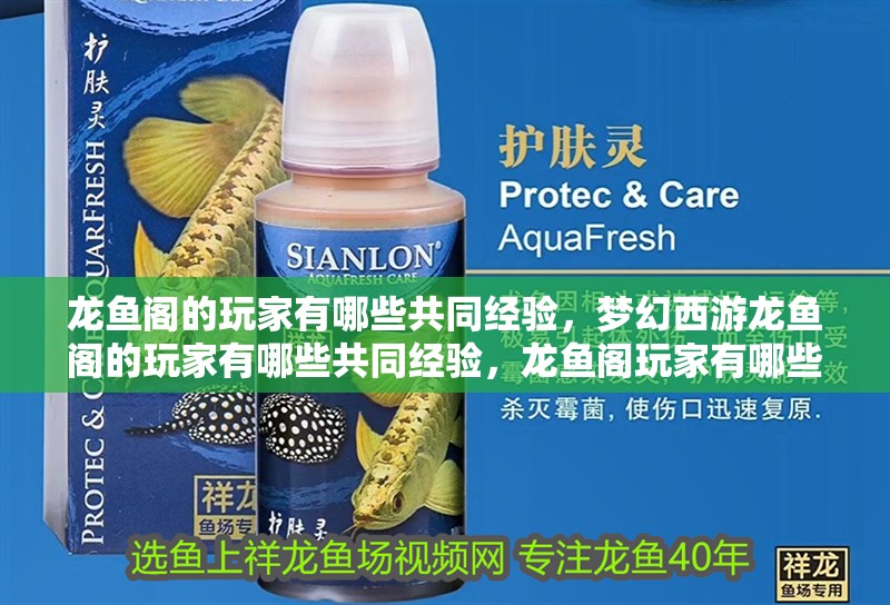 龍魚閣的玩家有哪些共同經(jīng)驗(yàn)，夢(mèng)幻西游龍魚閣的玩家有哪些共同經(jīng)驗(yàn)，龍魚閣玩家有哪些共同經(jīng)驗(yàn)