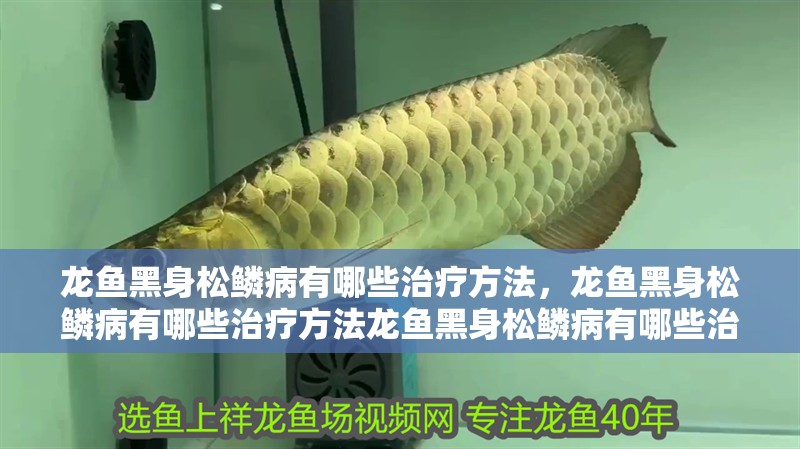 龍魚黑身松鱗病有哪些治療方法，龍魚黑身松鱗病有哪些治療方法龍魚黑身松鱗病有哪些治療方法