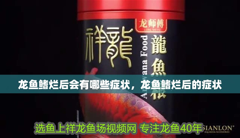 龍魚鰭爛后會有哪些癥狀，龍魚鰭爛后的癥狀