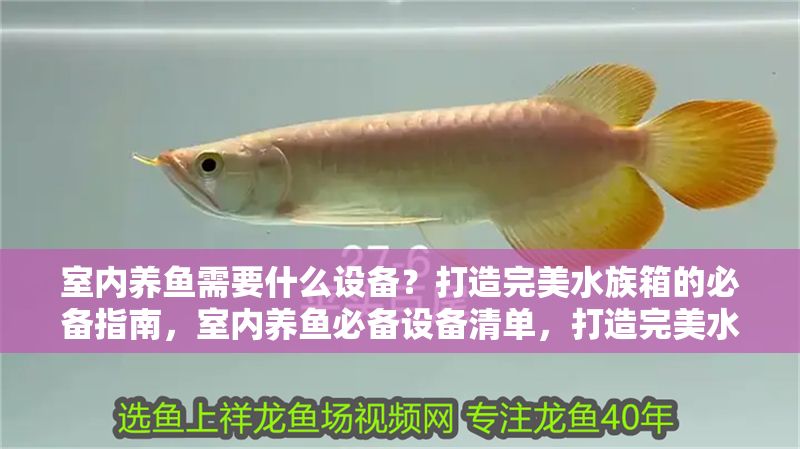 室內(nèi)養(yǎng)魚需要什么設(shè)備？打造完美水族箱的必備指南，室內(nèi)養(yǎng)魚必備設(shè)備清單，打造完美水族箱的完整指南