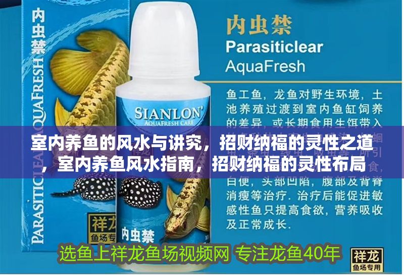 室內養魚的風水與講究，招財納福的靈性之道，室內養魚風水指南，招財納福的靈性布局