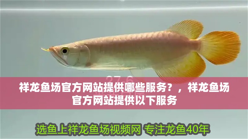 祥龍魚場官方網站提供哪些服務？，祥龍魚場官方網站提供以下服務
