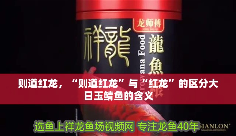 則道紅龍，“則道紅龍”與“紅龍”的區分大日玉鯖魚的含義