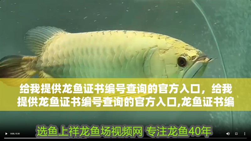 給我提供龍魚證書編號查詢的官方入口，給我提供龍魚證書編號查詢的官方入口,龍魚證書編號查詢官方入口