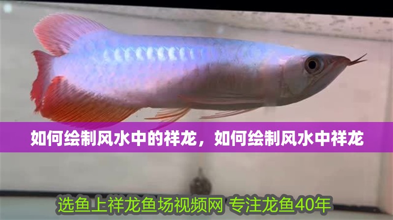 龍魚眼睛起白霧要警惕