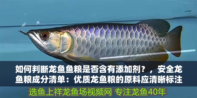 如何判斷龍魚魚糧是否含有添加劑？，安全龍魚糧成分清單：優質龍魚糧的原料應清晰標注