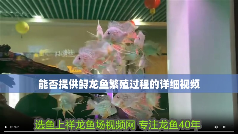 能否提供鱘龍魚繁殖過程的詳細視頻