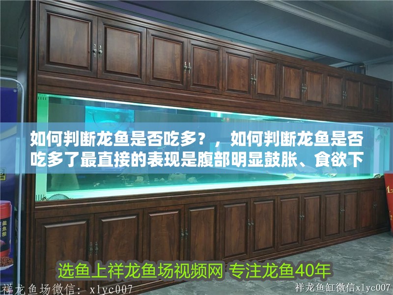 如何判斷龍魚(yú)是否吃多？，如何判斷龍魚(yú)是否吃多了最直接的表現(xiàn)是腹部明顯鼓脹、食欲下降