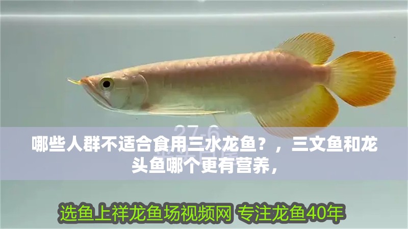 哪些人群不適合食用三水龍魚？，三文魚和龍頭魚哪個更有營養，