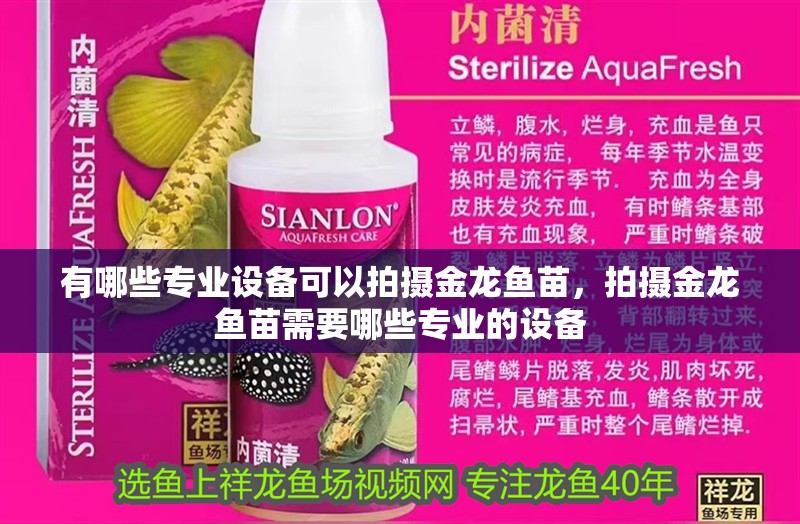 有哪些專業設備可以拍攝金龍魚苗，拍攝金龍魚苗需要哪些專業的設備