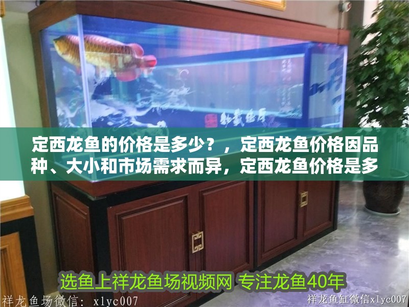 定西龍魚的價格是多少？，定西龍魚價格因品種、大小和市場需求而異，定西龍魚價格是多少