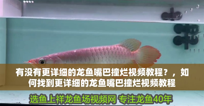 詳細閱讀:有沒有更詳細的龍魚嘴巴撞爛視頻教程?,如何找到更詳細的龍魚嘴巴撞爛視頻教程 有沒有更詳細的龍魚嘴巴撞爛視頻教程?,如何找到更詳細的龍魚嘴巴撞爛視頻教程