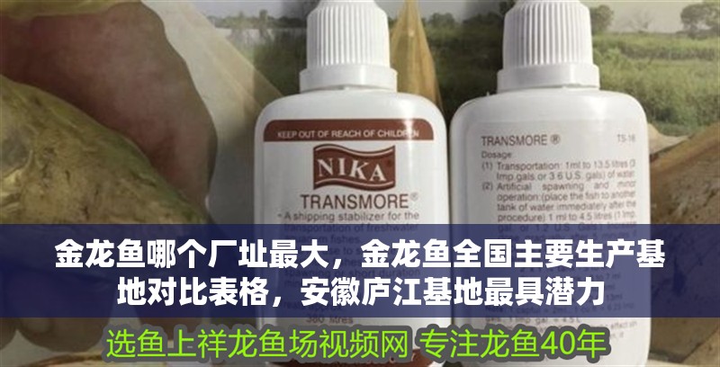 詳細(xì)閱讀:金龍魚哪個(gè)廠址最大,金龍魚全國主要生產(chǎn)基地對比表格,安徽廬江基地最具潛力 金龍魚哪個(gè)廠址最大,金龍魚全國主要生產(chǎn)基地對比表格,安徽廬江基地最具潛力