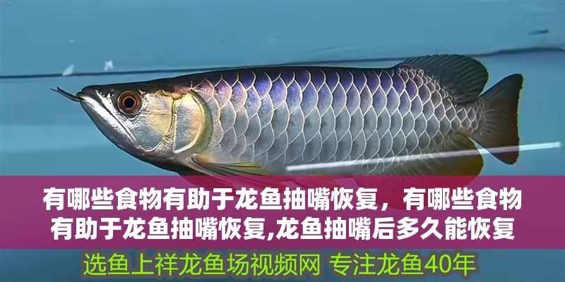 有哪些食物有助于龍魚抽嘴恢復(fù)，有哪些食物有助于龍魚抽嘴恢復(fù),龍魚抽嘴后多久能恢復(fù)