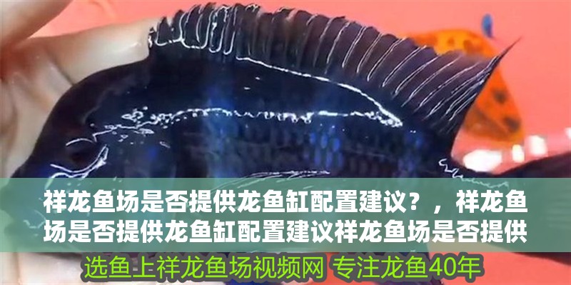 祥龍魚場是否提供龍魚缸配置建議？，祥龍魚場是否提供龍魚缸配置建議祥龍魚場是否提供龍魚缸配置建議